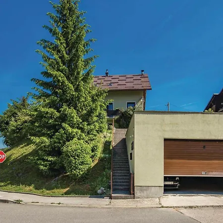 Awesome In With Wifi Lejlighed Delnice