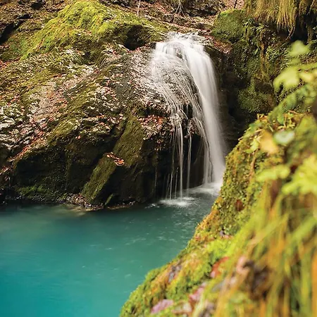 Awesome In With Wifi * Delnice